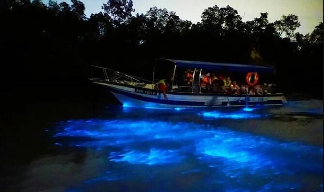 쿠알라룸푸르 바투 동굴 & 블루티어 그리고 반딧불 투어