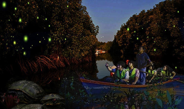 Johor Bahru City & Firefly Day Tour (from Singapore)