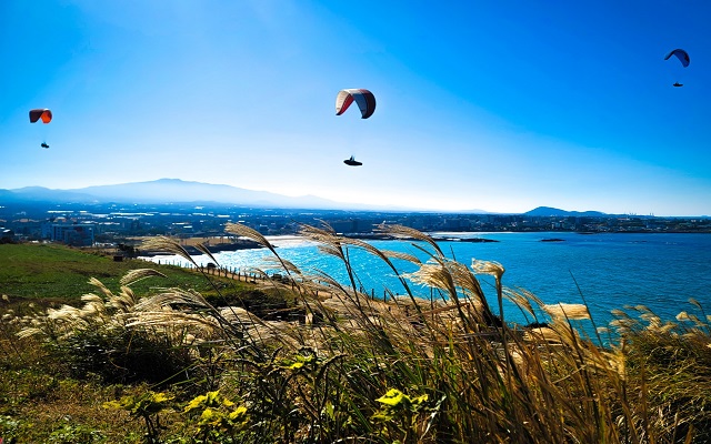 제주 바다하늘 패러글라이딩 체험