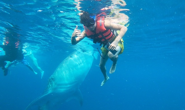 [세부랑] 세부 오슬롭 + 모알보알 + 투말록 폭포 투어 (한국인 가이드 / 오슬롭 패스트트랙 포함)