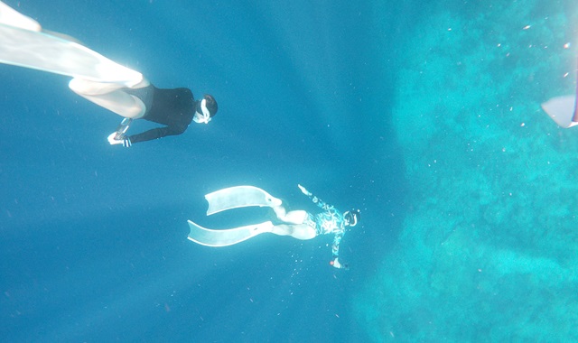 [세부랑] 세부 오슬롭 + 모알보알 + 투말록 폭포 투어 (한국인 가이드 / 오슬롭 패스트트랙 포함)