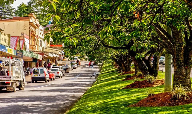 [투어커렌트] 사진에 진심입니다: 오픈런! 페더데일 + 시닉월드 + 블루마운틴 단독 투어