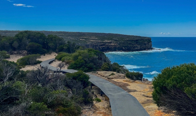 [투어커렌트] [단독투어] 사진에 진심! 로열 내셔널 파크 & 울릉공 & 키아마 프라이빗 투어