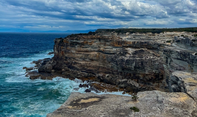 [투어커렌트] [단독투어] 사진에 진심! 로열 내셔널 파크 & 울릉공 & 키아마 프라이빗 투어