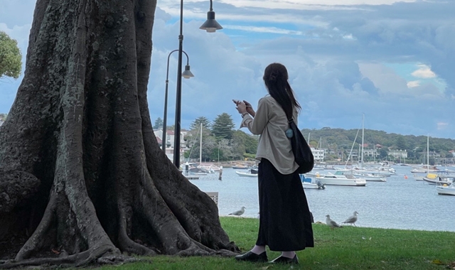 [투어커렌트] 시드니 공항 픽업 + 근교 + 랜드마크 단독 투어 (스냅사진 50+a 포함)
