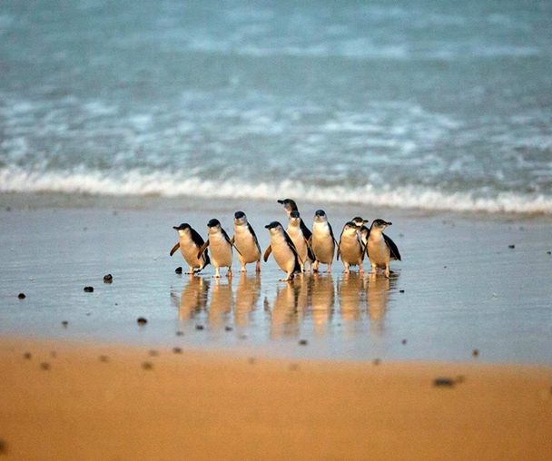 activity_detail_image