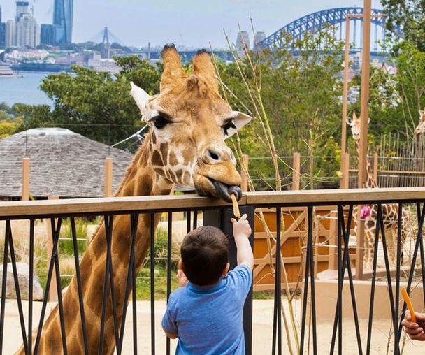 activity_detail_image