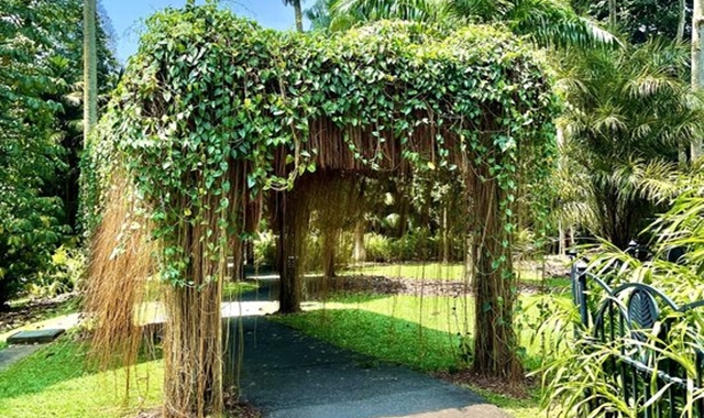 싱가포르 보타닉가든·오차드·페라나칸박물관·내셔널 갤러리 투어 (카야토스트)