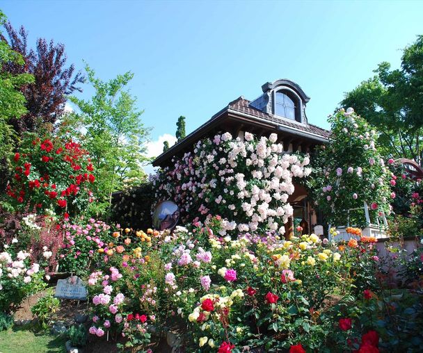 activity_detail_image