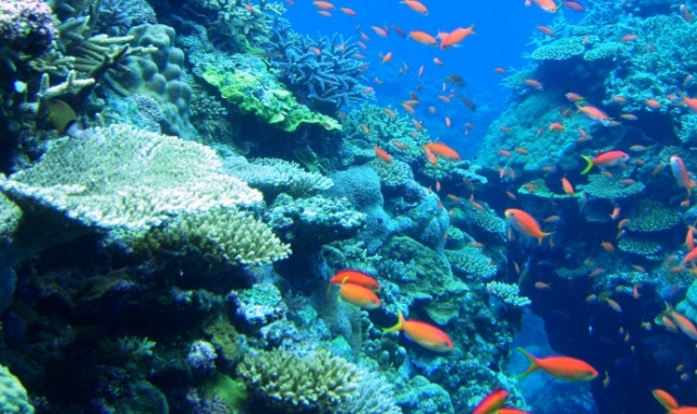activity_detail_image
