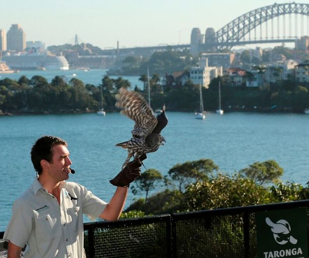 activity_detail_image