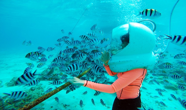 [괌 비키니 아일랜드 클럽] 아쿠아워커 + 바나나 보트 & 스노클링 투어