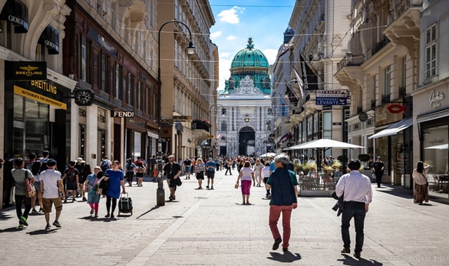 비엔나 링거리, 시내 문화와 역사 그리고 예술 투어