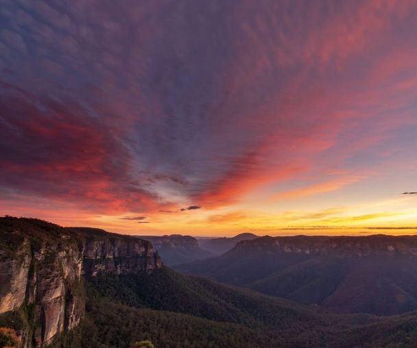 activity_detail_image