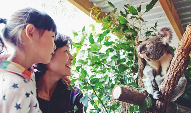 WILD LIFE Sydney Zoo Ticket