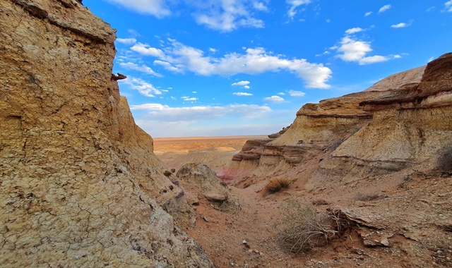 [하닥투어] [5박6일] 몽골 버킷리스트를 만나는 고비사막 투어