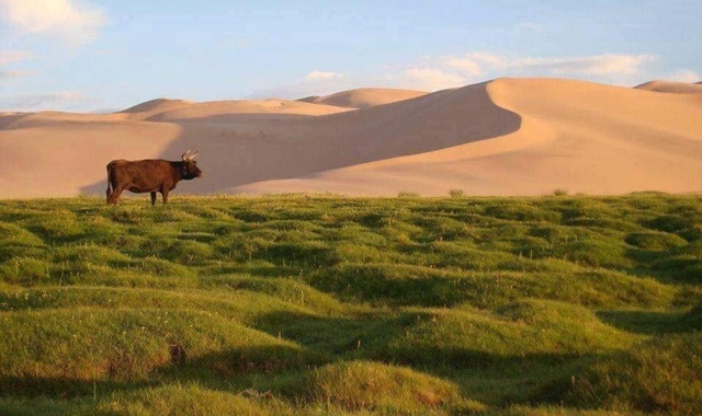 [하닥투어] [2박3일] 몽골 직장인 추천! 짧지만 알찬 일정 투어