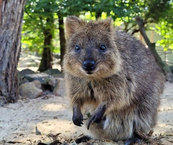 activity_detail_image