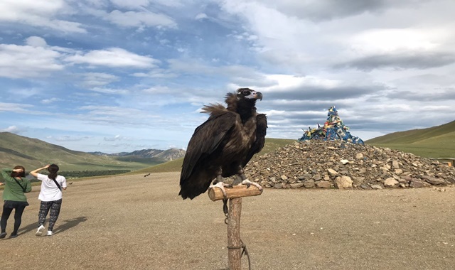 [하닥투어] [6박7일] 몽골 고비 사막과 초원 여행 - 가장 여행다운 일정!