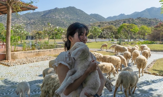 [산티아고] 나트랑 출발: 판랑 사막 지프투어 - 스냅사진, 선라이즈 선택 가능, ATV 신청 가능