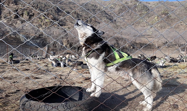 [하닥투어] [3박4일] 몽골 호수 낚시와 사막까지 만나는 투어