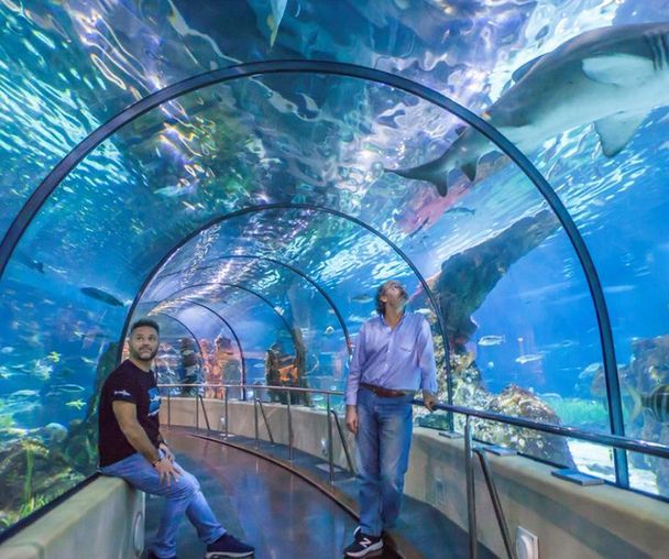 activity_detail_image