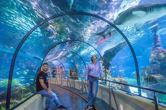 바르셀로나 아쿠아리움 우선 입장권