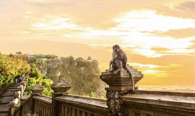 발리 남부 원데이 투어 (독립기념탑, 가루다공원, 울루와뚜)