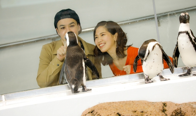 京都水族館 電子チケット