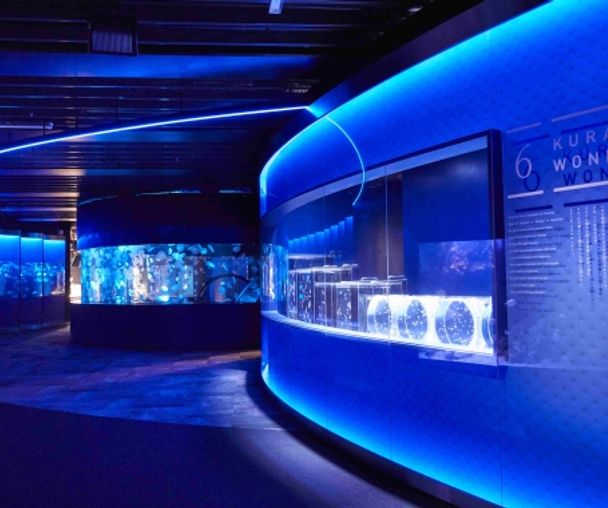 activity_detail_image