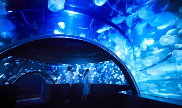 京都水族館 電子チケット