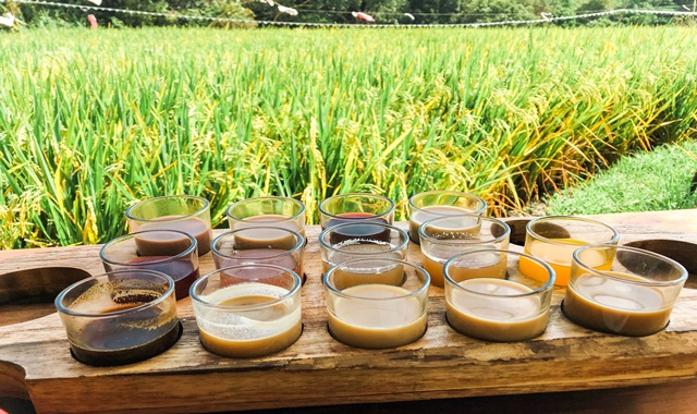 Bali: Instagrammable Tour (Lempuyang Temple, Tirta Gangga, Tukad Cepung Waterfall, Bali Swing)