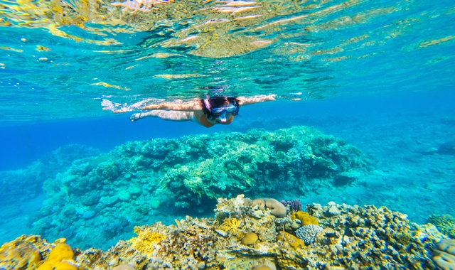 Bali: Padangbai Blue Lagoon Snorkeling & Tukad Unda & Tegenungan Waterfall River Club Tour
