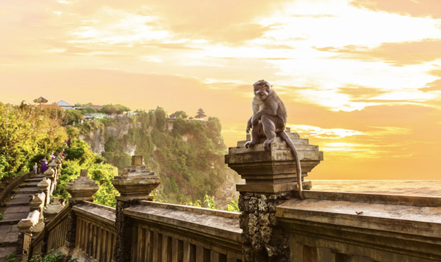 발리 남부 투어 (빠당빠당, 울루와뚜, 깨짝댄스, 싱글핀 선셋)