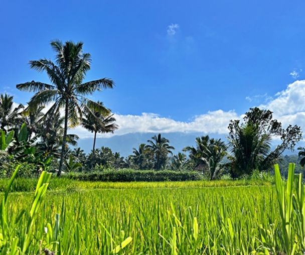 activity_detail_image