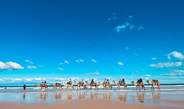 [민투어트래블] 소그룹 DIY 내맘대로 포트스테판 투어