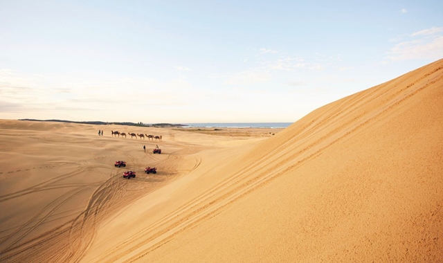 [민투어트래블] 소그룹 DIY 내맘대로 포트스테판 투어