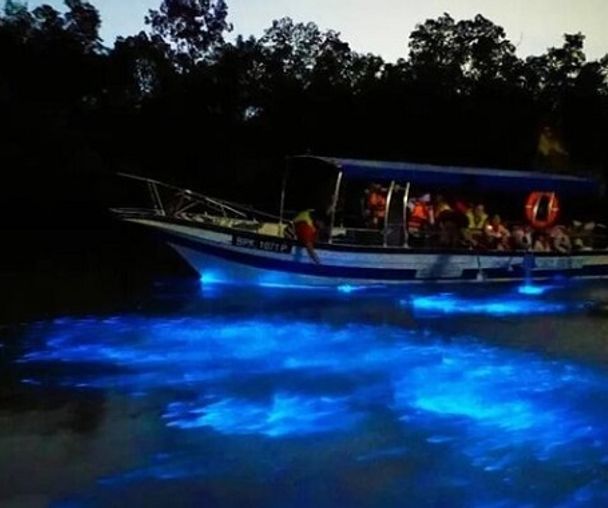 activity_detail_image