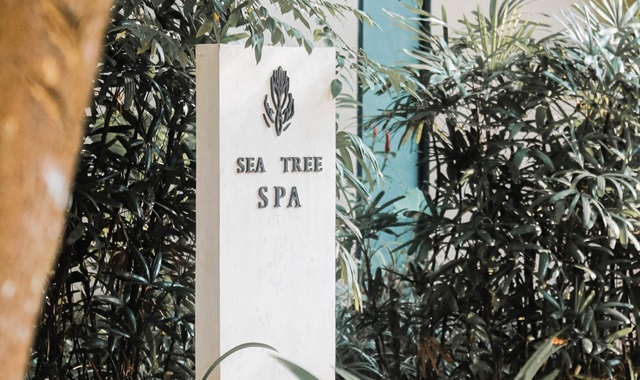 보홀 아모리타 리조트 씨트리 스파 마사지