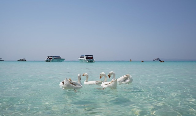 파타야 핫티엔 비치 산호섬 어드벤처 일일 투어 (방콕 출발)