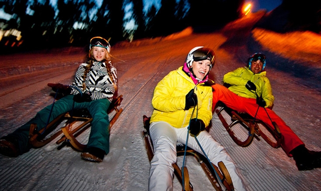 Switzerland: Night Sledding & Swiss Fondue Dinner in the Alps