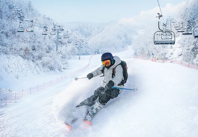 강원 춘천 엘리시안 강촌 25/26시즌 리프트 & 의류 & 장비렌탈권