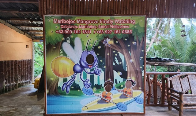 [50%할인] 보홀 로복강 배 반딧불 투어