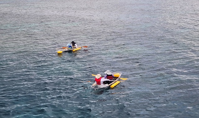 [한국인 가이드] 괌 피쉬아이 마린파크 스노클링 & 프리다이빙 투어 - 수중사진&영상 무료 제공