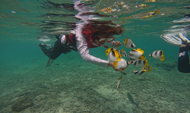 [한국인 가이드] 괌 피쉬아이 마린파크 스노클링 & 프리다이빙 투어 - 수중사진&영상 무료 제공