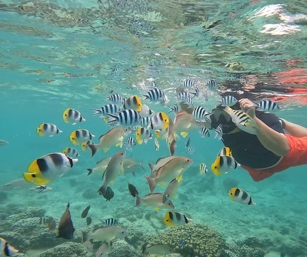 activity_detail_image