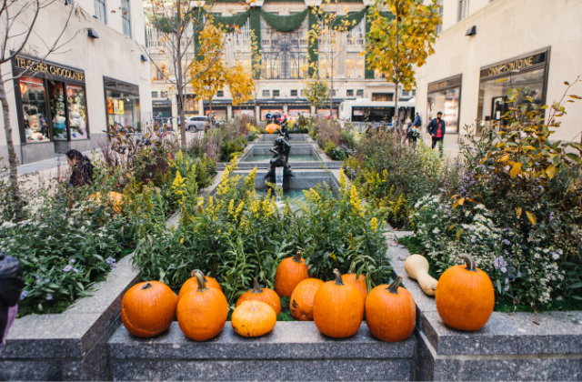 [공식] 뉴욕 록펠러 센터 공식 도슨트 투어