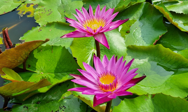 activity_detail_image