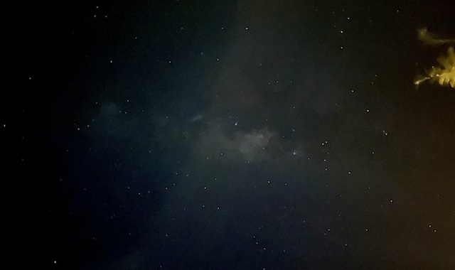 [50%할인] 보홀 로복강 배 반딧불 투어