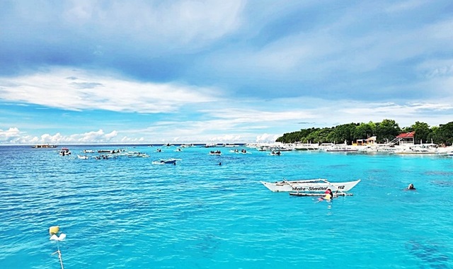 [50%할인] 보홀 발리카삭 호핑투어 (돌고래 & 거북이 와칭, 스노클링 2회)